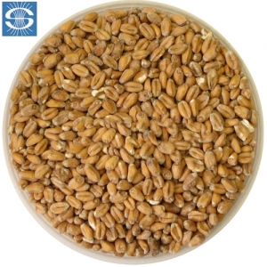 Солод «Пшеничный» Soufflet, 1 кг